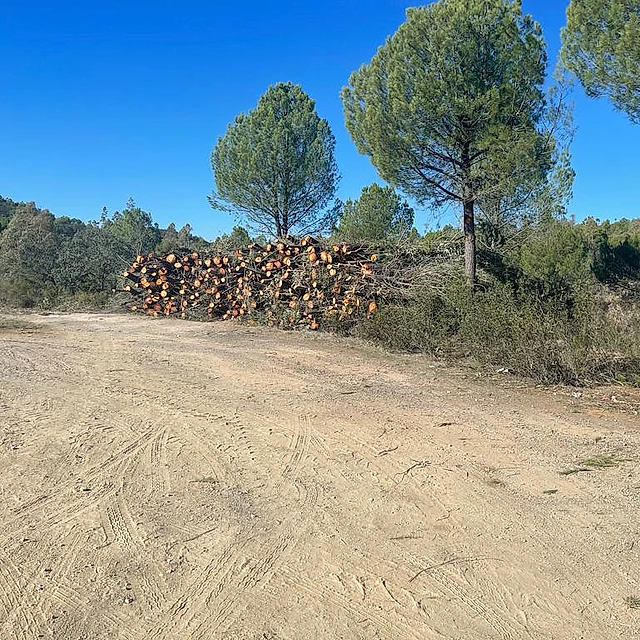 trabajos forestales