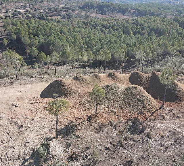 trabajos forestales