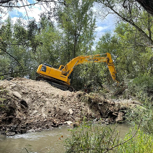 trabajos forestales