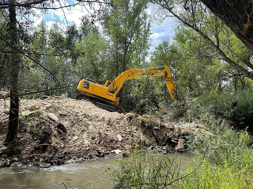 trabajos forestales