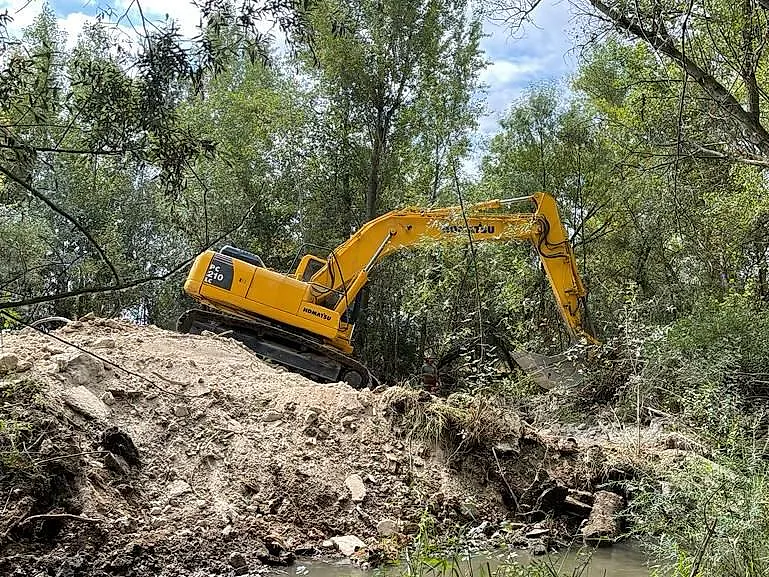 trabajos forestales